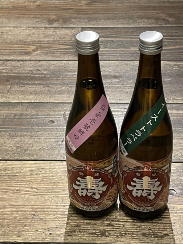 光栄菊アナスタシア・グリーン 予約受付開始
