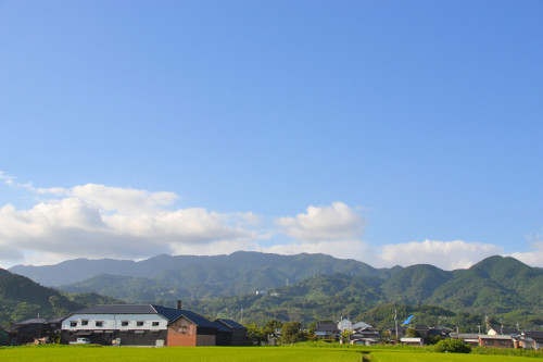 d0367608_18353324.jpg