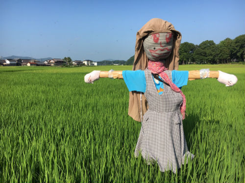 「１９歳の酒」とは？_d0367608_09233766.jpg